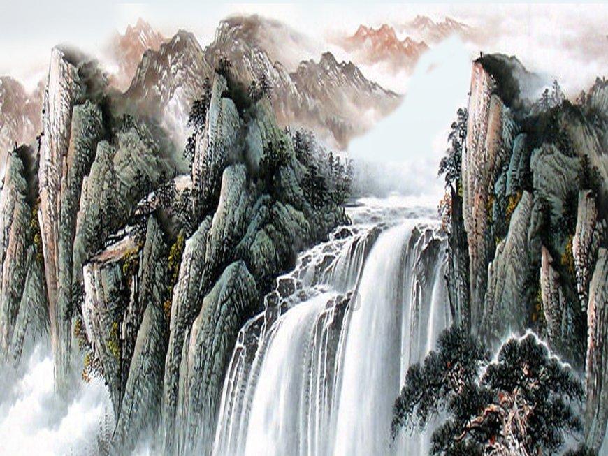 春雨直播app